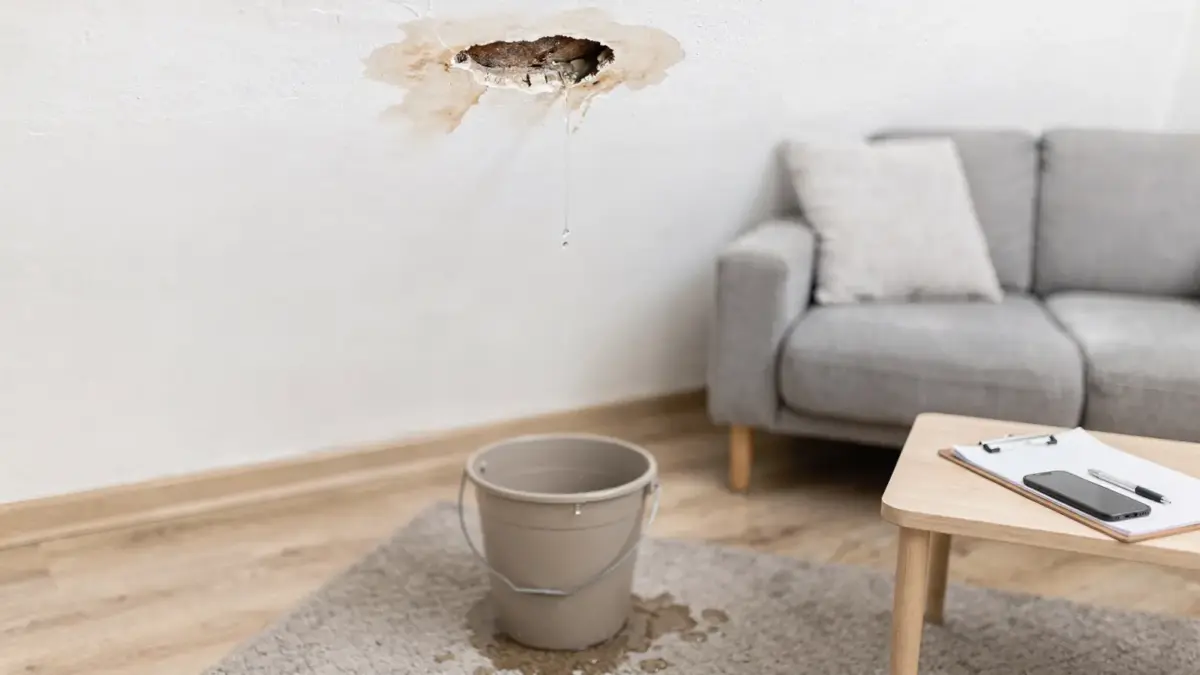 Wasserschaden in der Mietwohnung: Wasserfleck an der Decke mit Eimer in einer hellen Wohnung